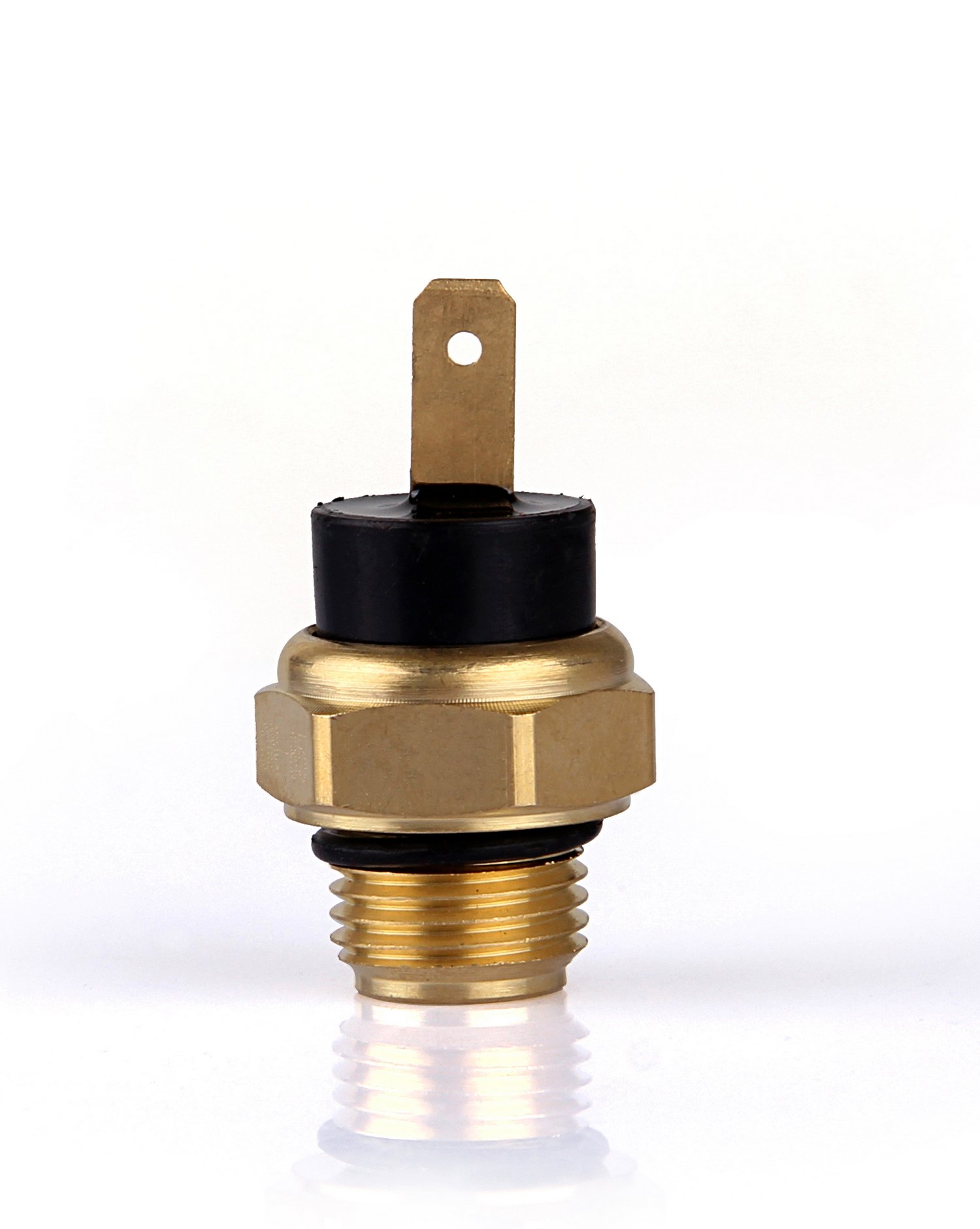 Amazon.co.jp: Bruce & Shark(ブルース・サメ) VT VTR VF CBR など用